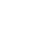 Series 1 - Moth