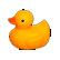 :ducky: