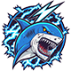 Series 1 - Used Shark Car Sticker