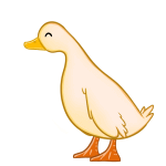 Dancing Duck Animated