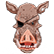 :boar: