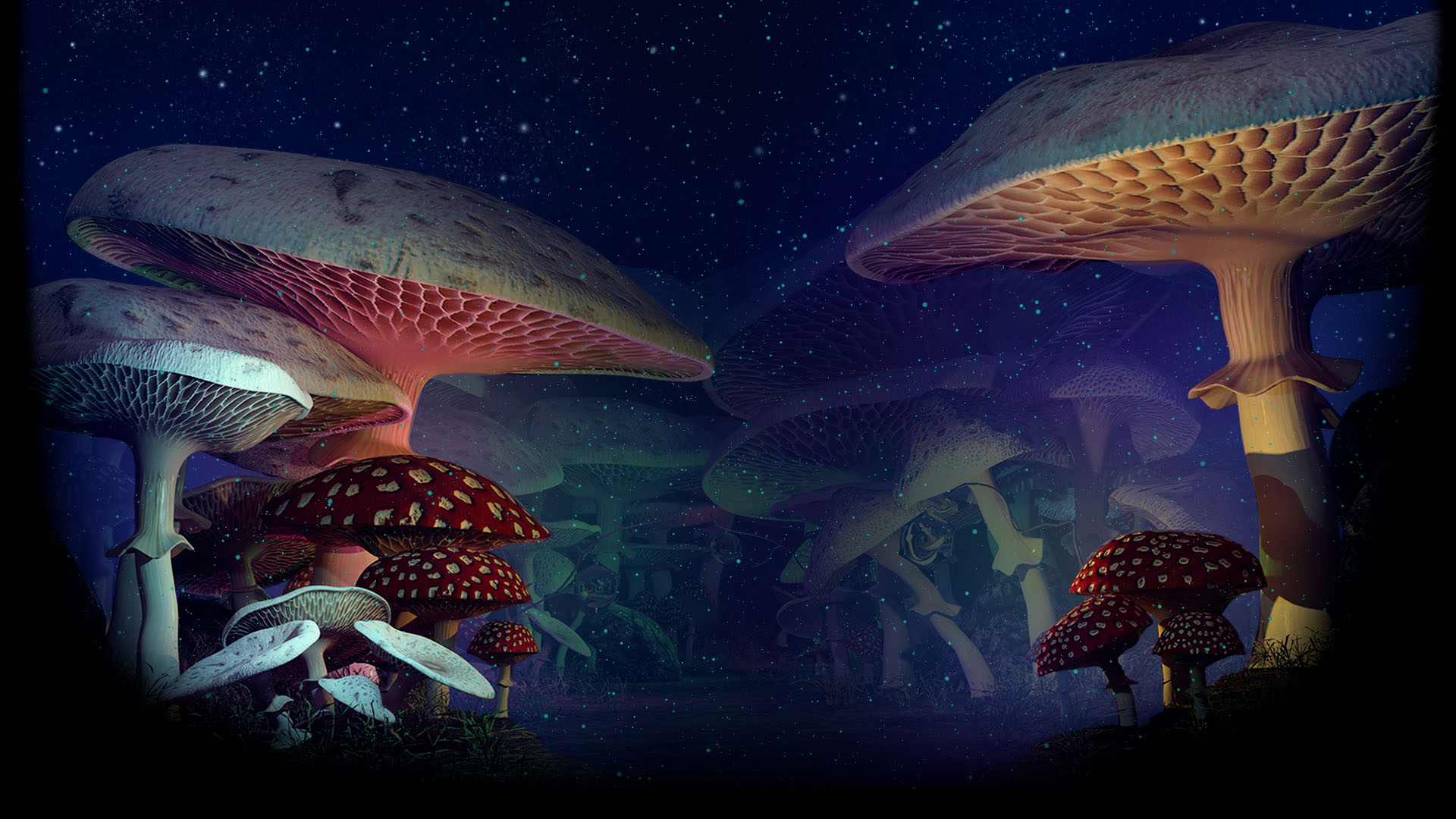 Mushrooms