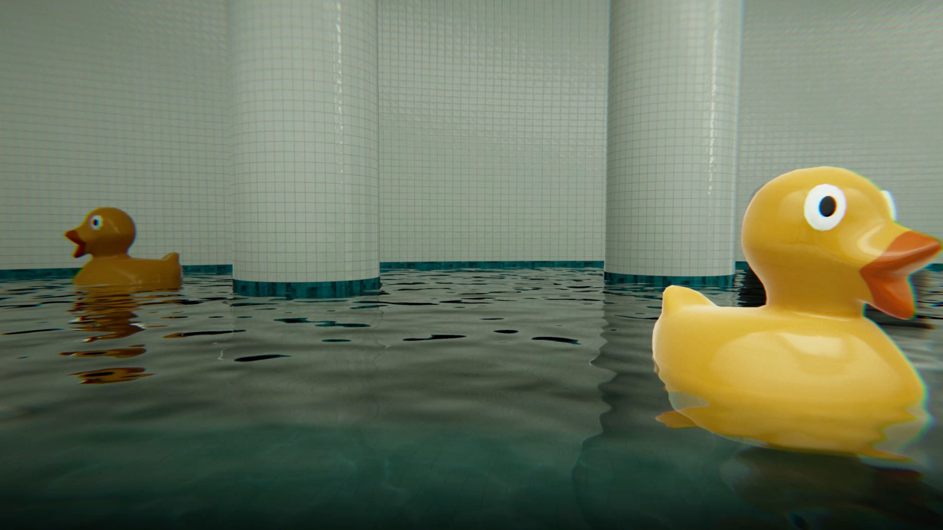 Ducks