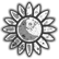 :dssunflower: