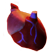 :Aorta: