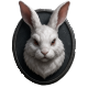 Series 1 - rabbit