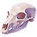 :ioeskull:
