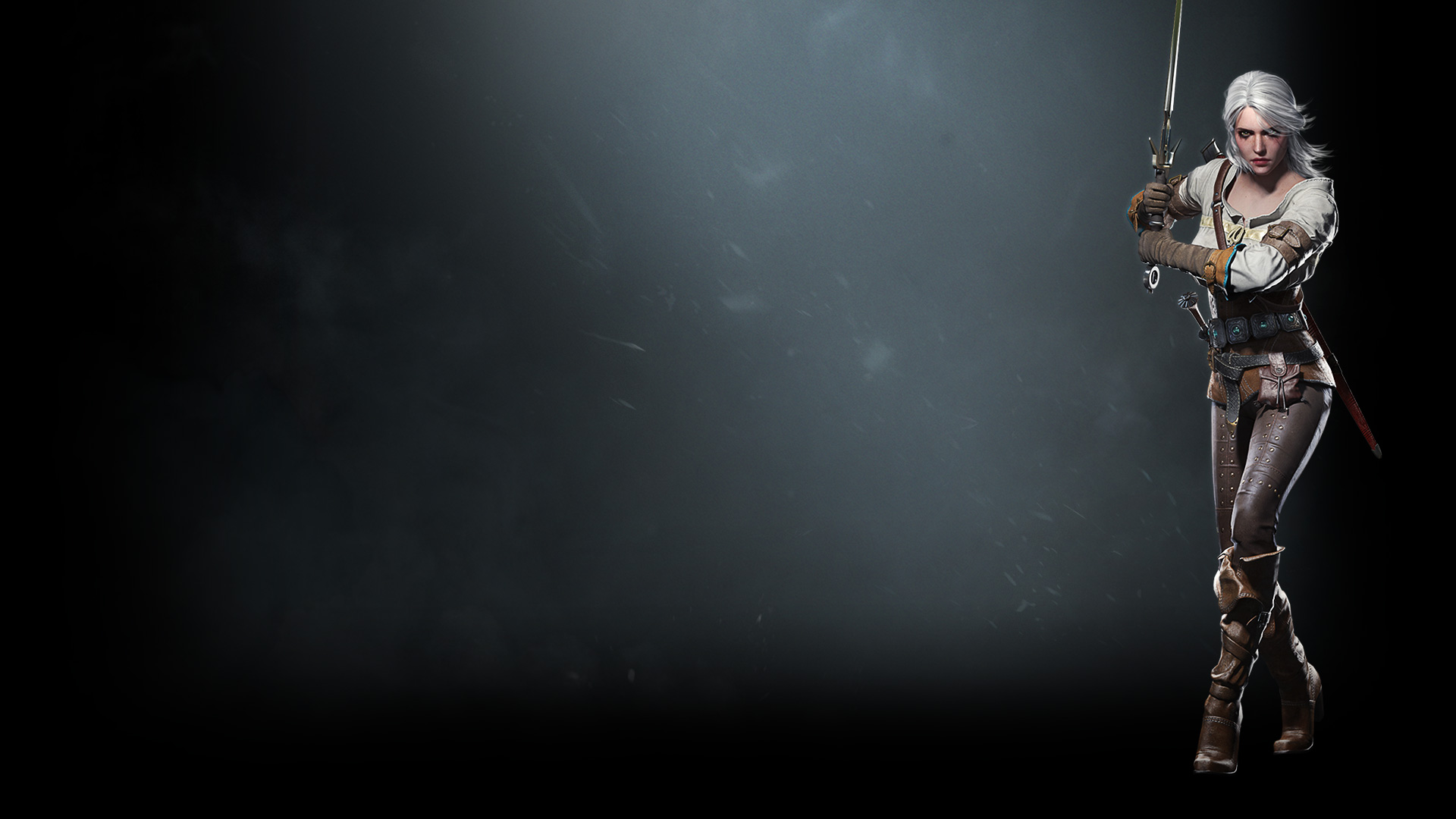 Ciri (Profile Background)