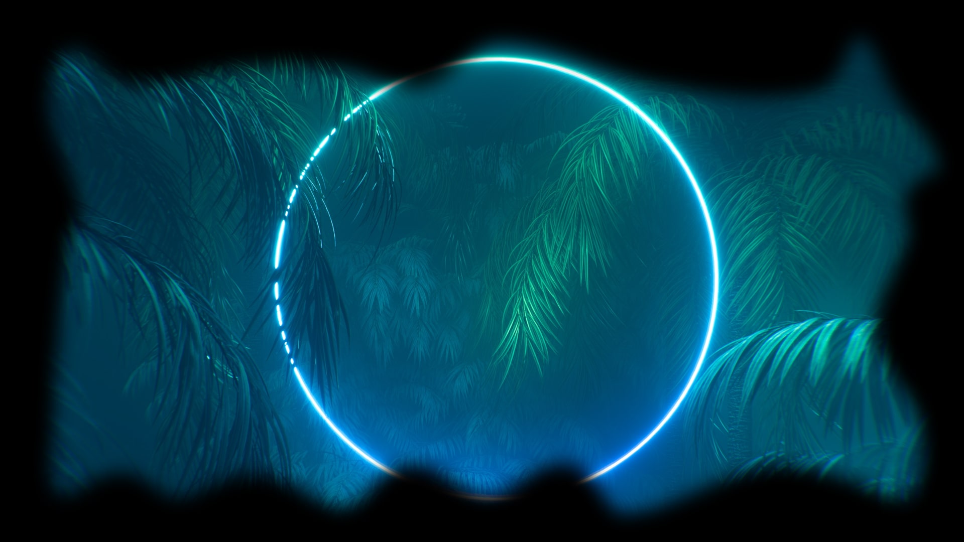 Second Animated Back