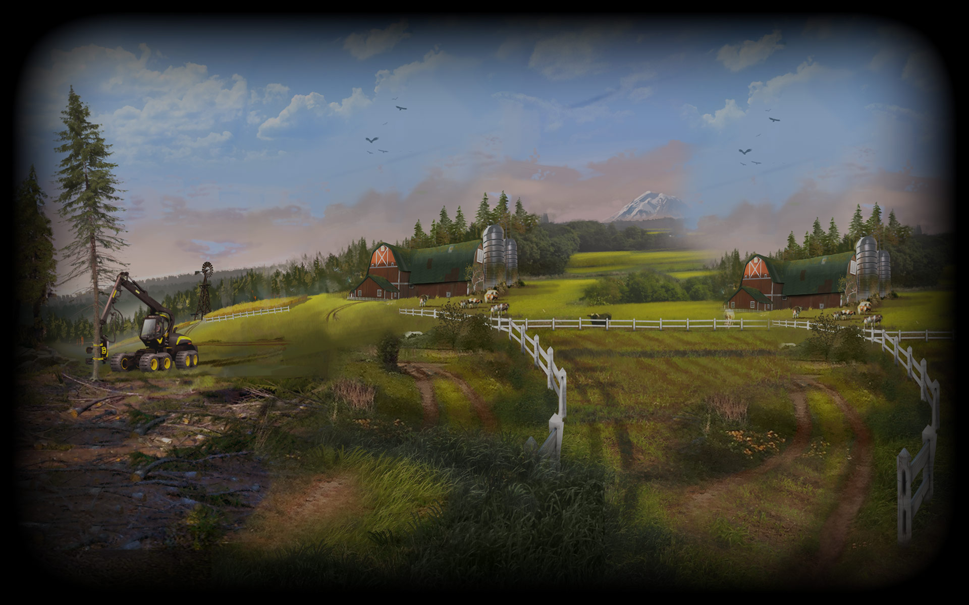 Forest and fields