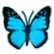 :bluebutterfly: