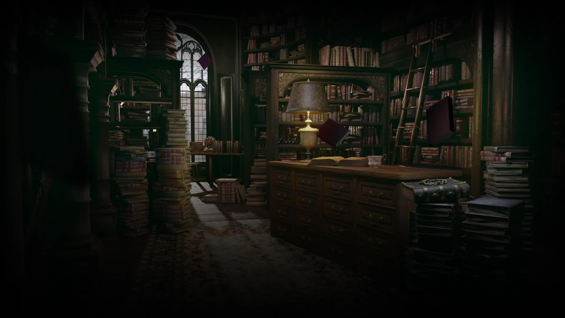Library Animated Back