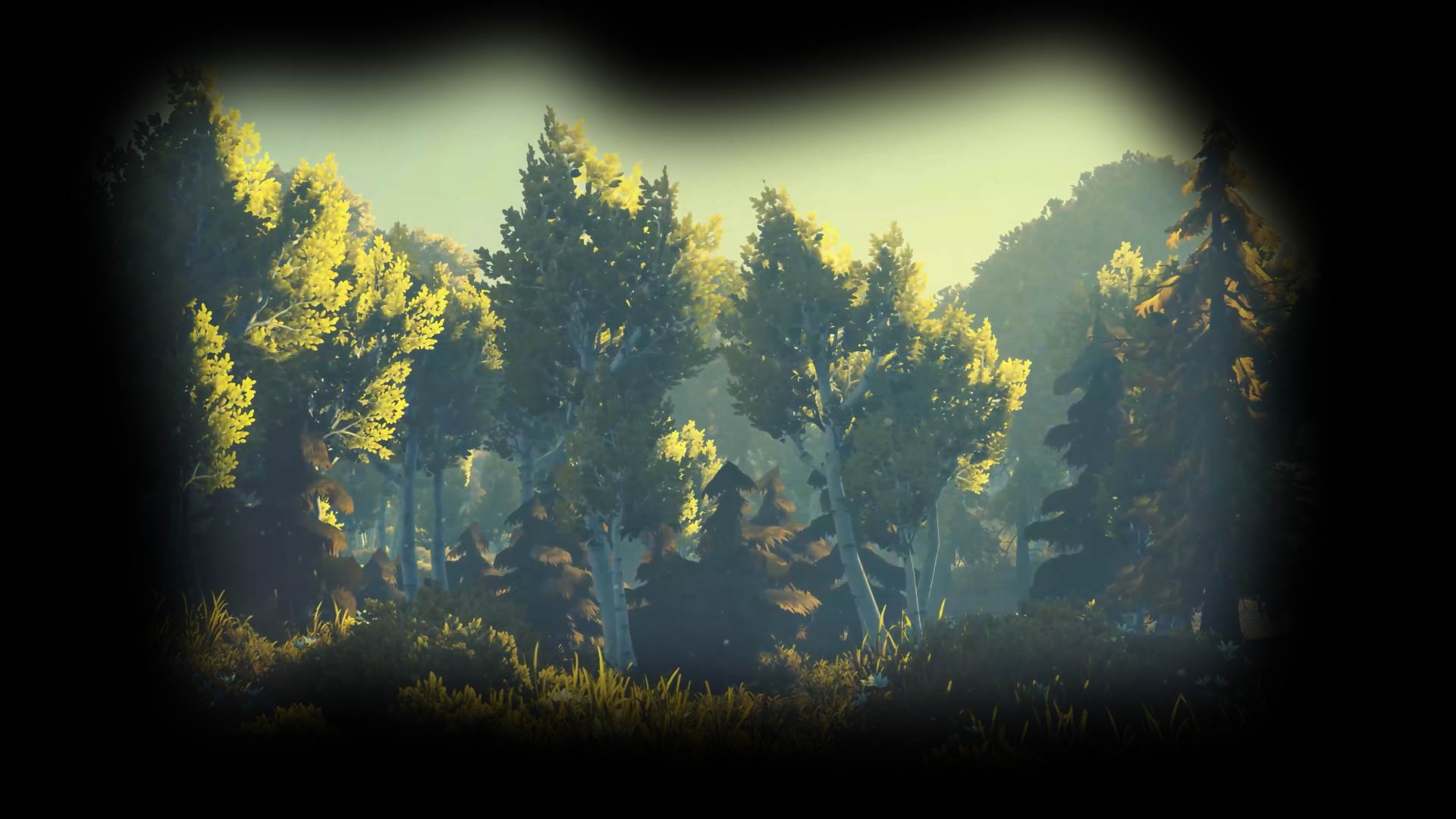 Forest Animated Back