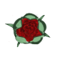 Series 1 - Blooming