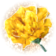 Series 1 - Blazing Bloom