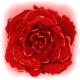 Series 1 - Radiant Bloom