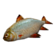 :grafish: