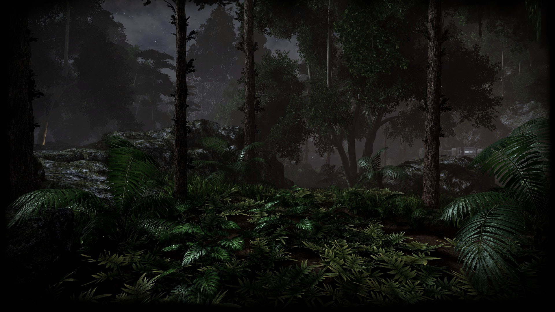 Moonlit Jungle