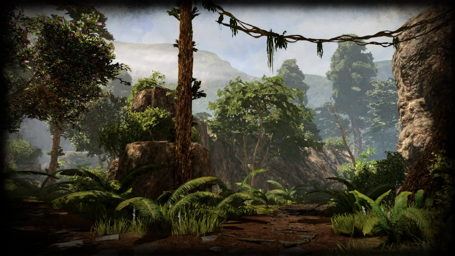 Primordial Forest