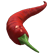 :pepper: