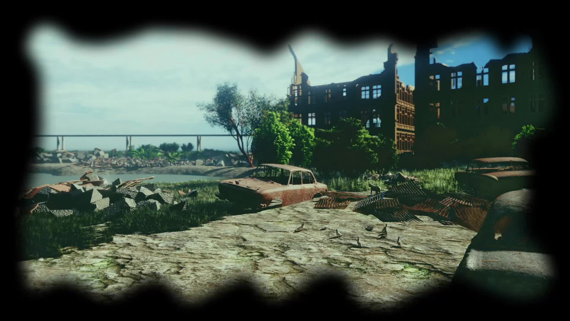 Zone animated back