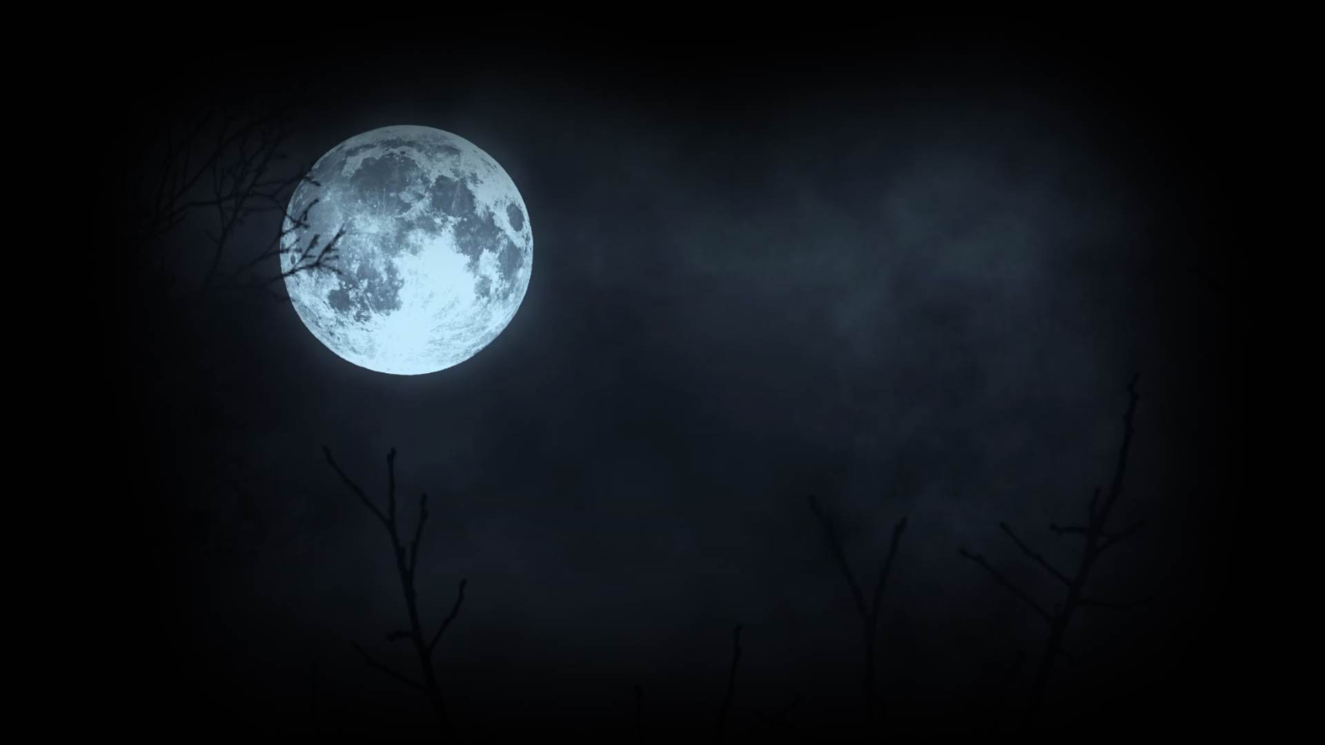Moon Animated Back
