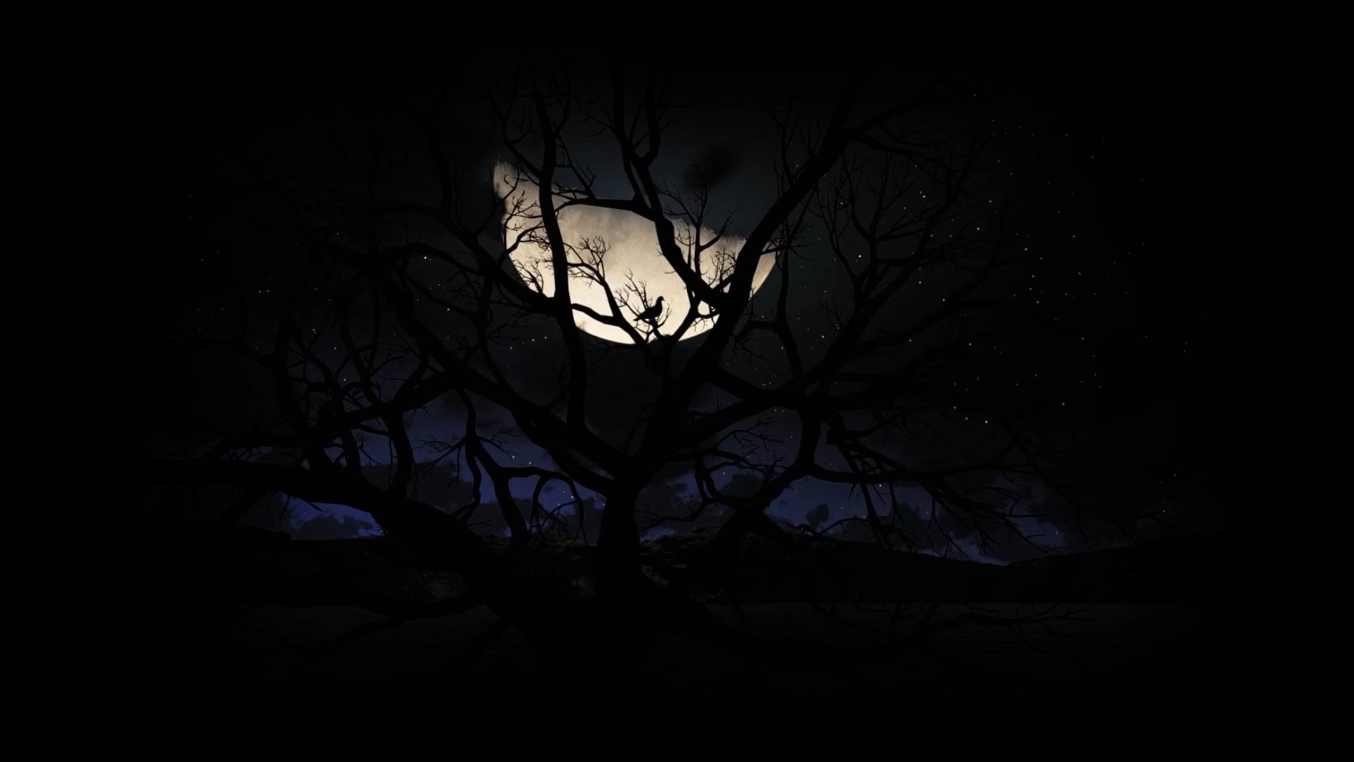 Horror Animated Back