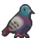 :pigeon_sit: