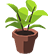 :planty: