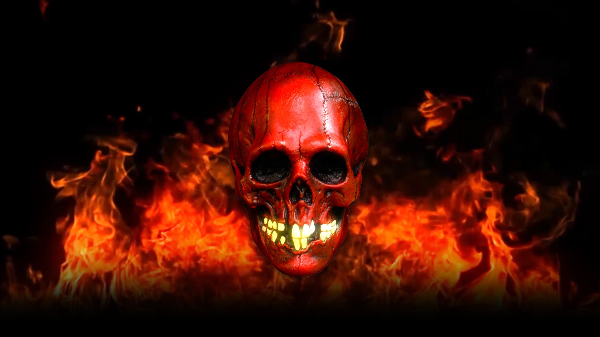 Scull Animated Back
