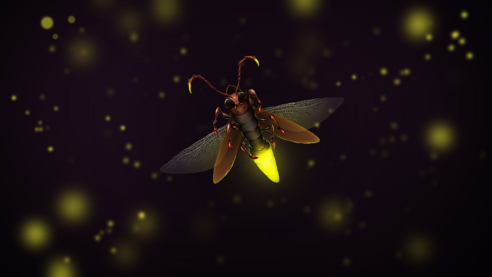 Firefly. 