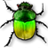 :greenscarab: