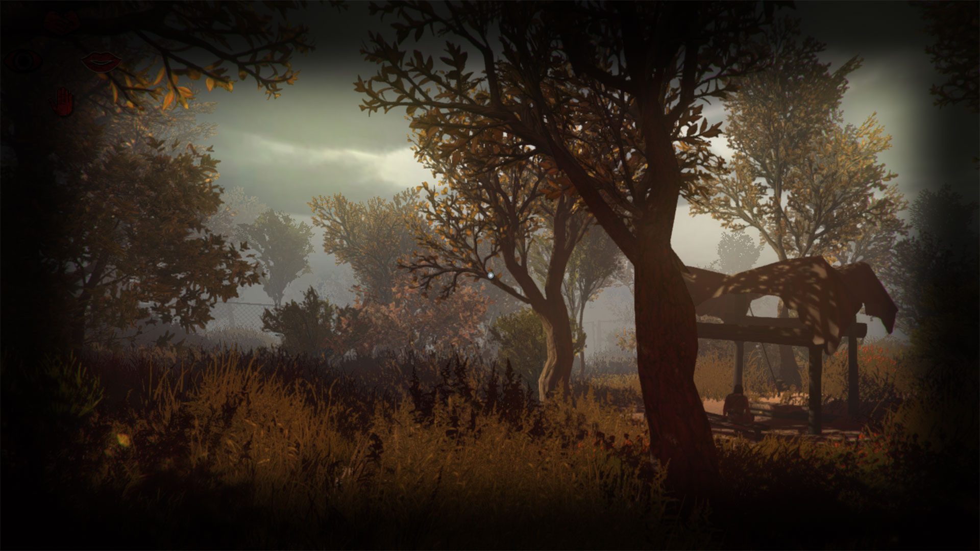 The Forest