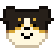 :raccoin_happy: