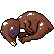 :BabyChick: