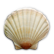 :seashell: