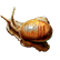 :cwd_snail: