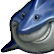 :sharkyshark: