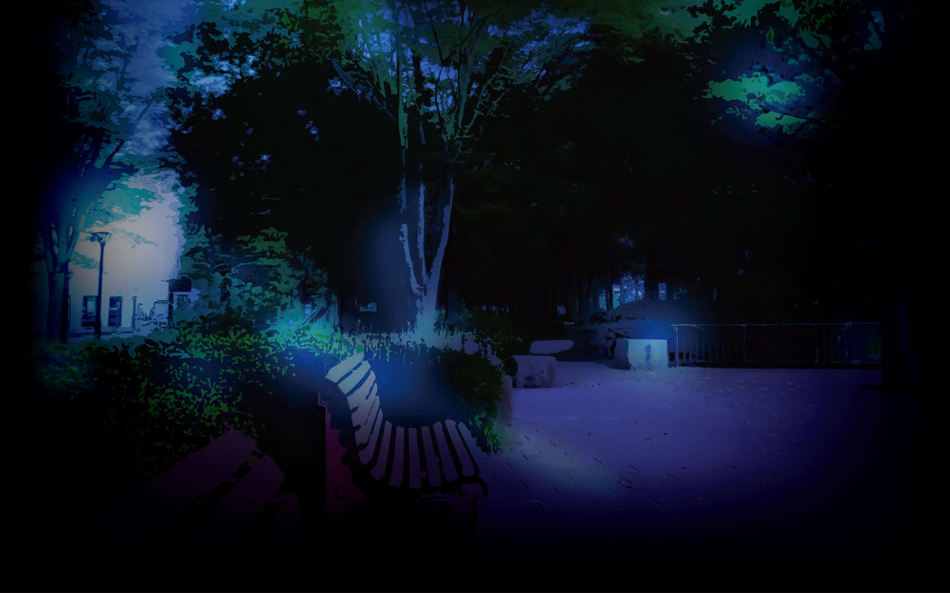 Park Night