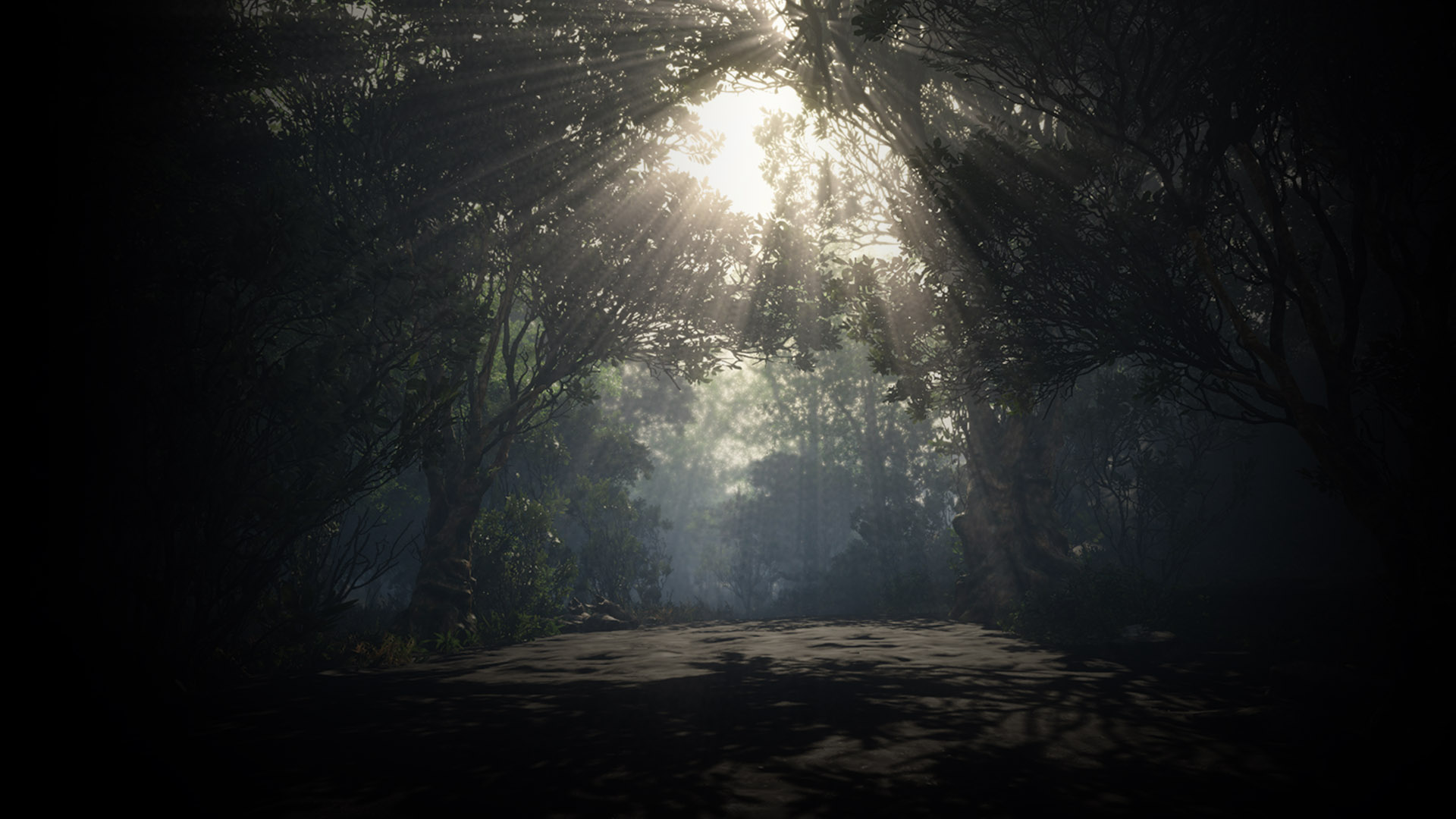 The shine through darkness