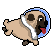 :SpacePug: