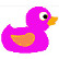 :PurpleDuckie: