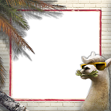 Llama Anniversary Frame