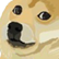 :Dogeface: