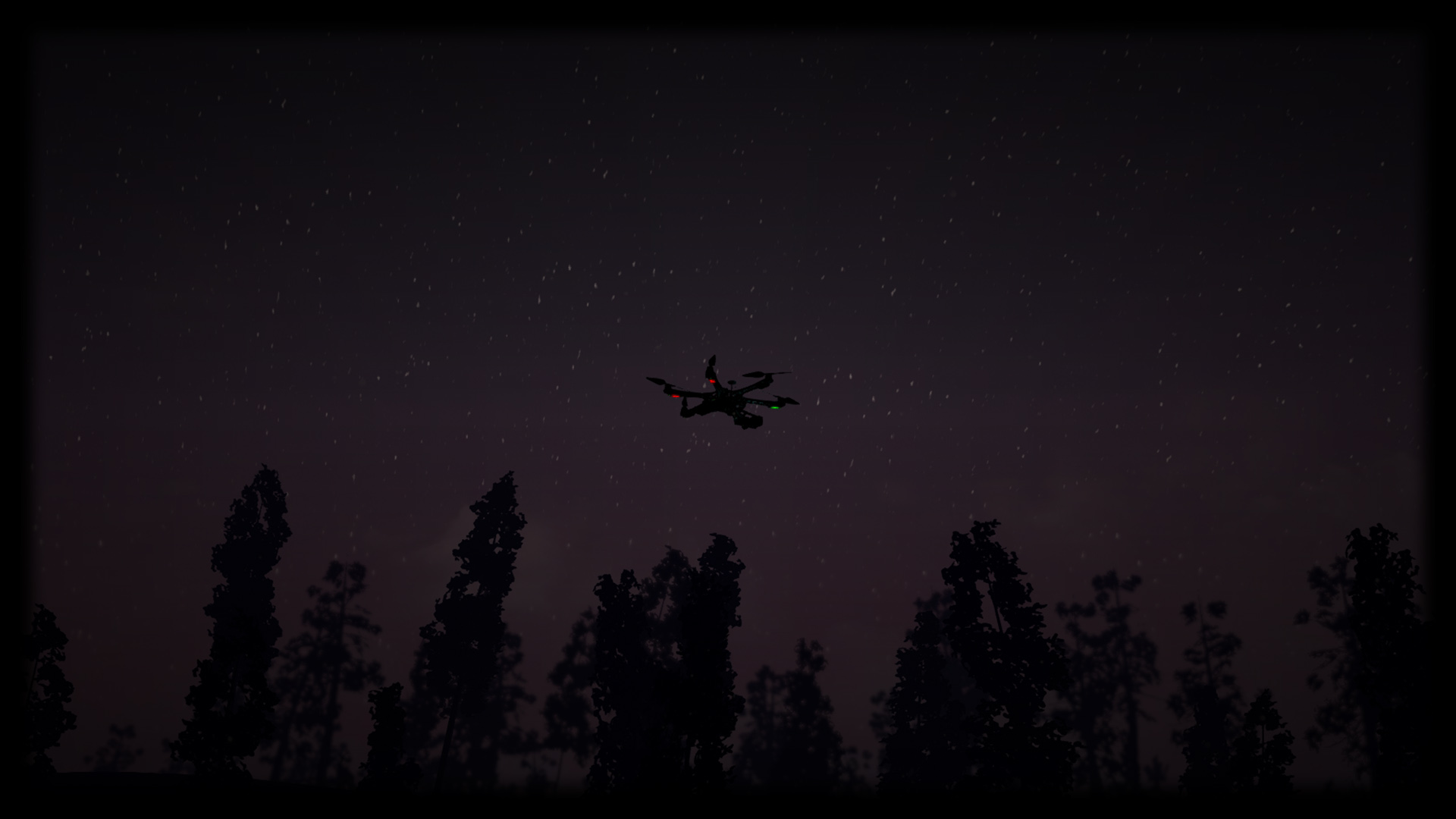 At night over the forest