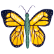 :viceroybutterfly: