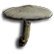 :scum_mushroom: