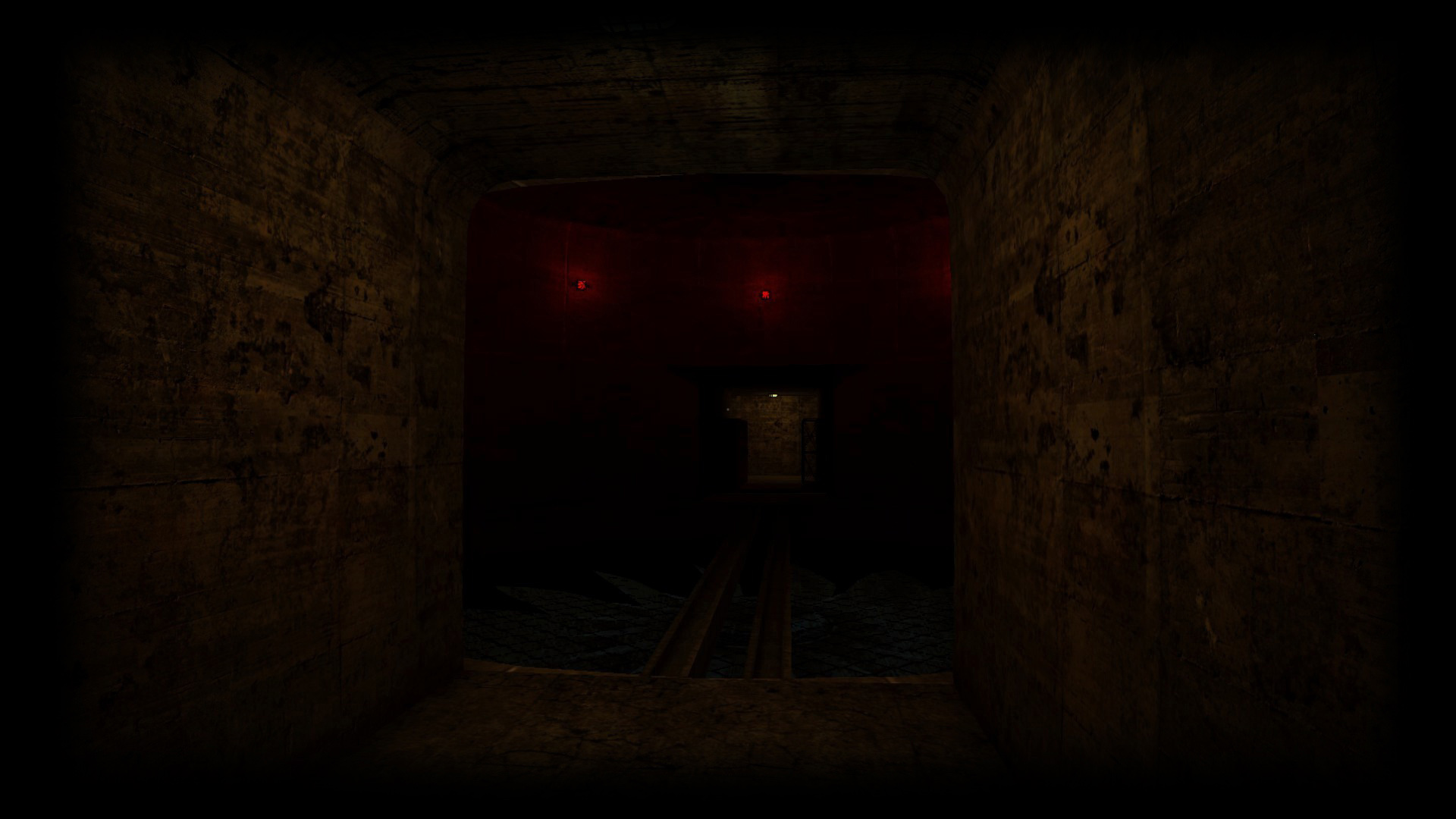 Dark Sector