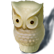 :bt_owl: