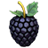 :blackberry_style: